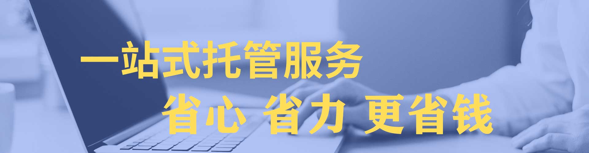 振安sem托管